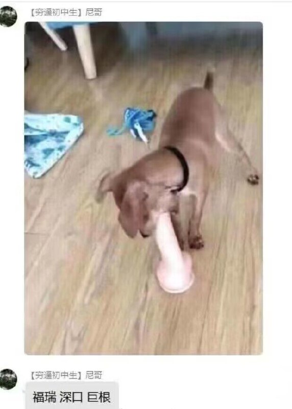 #深喉 #巨根 #假阳具 #Furryvia efsg