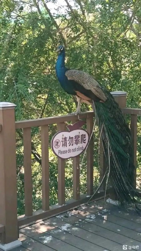 via 8号沙雕网友via 8号沙雕网友