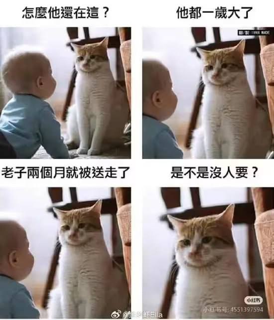 via カロス イvia カロス イ