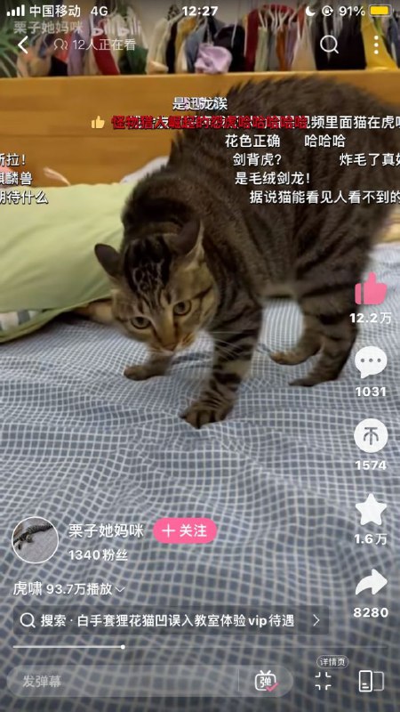 via 流派