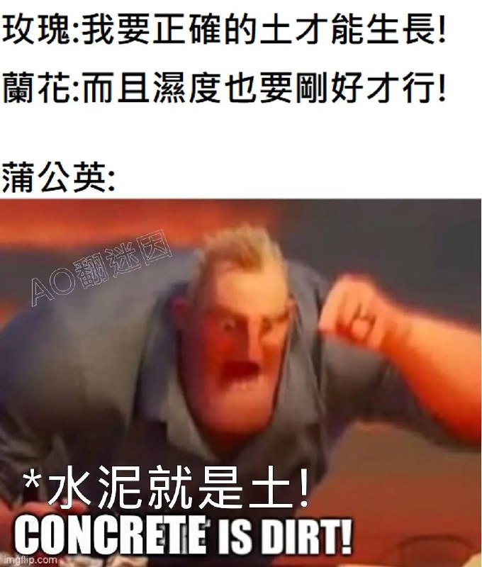 from 什麼都來點 via DECADE