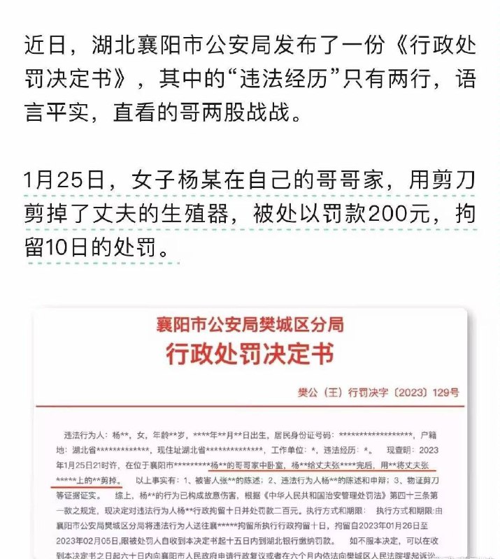 一根鸡鸡的价格