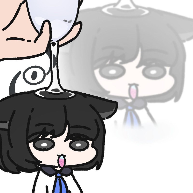 from 猫猫窝🐈🐈‍⬛from 猫猫窝🐈🐈‍⬛