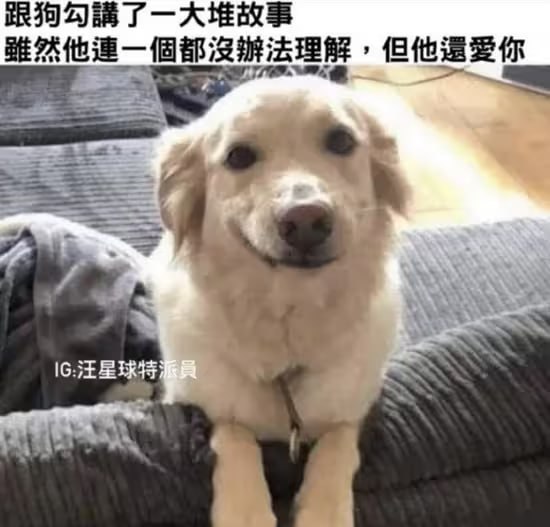 via 6号沙雕网友