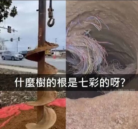 via 7号沙雕网友