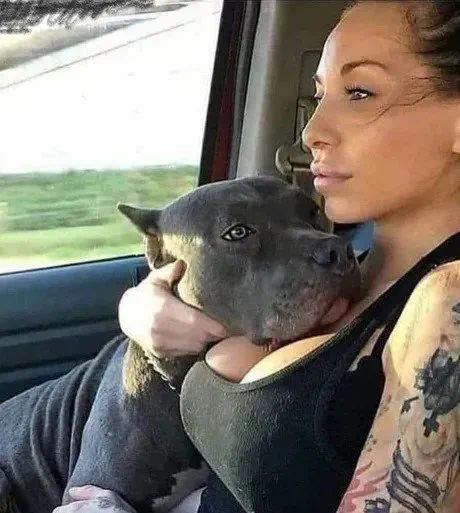 #舔狗 我太可以了