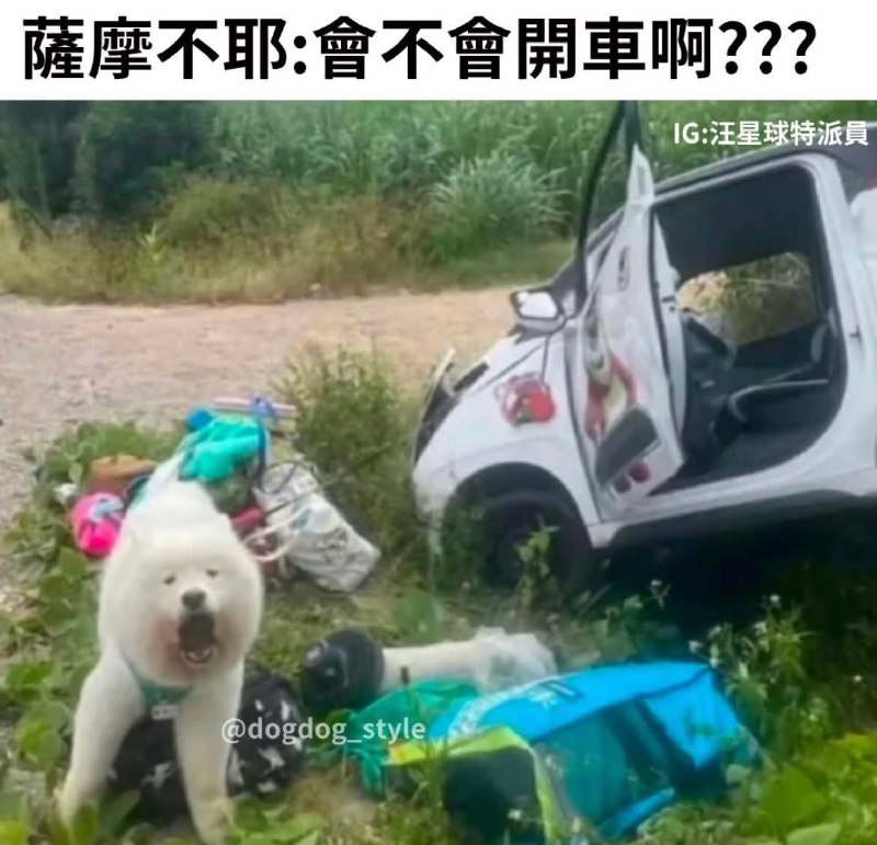 from 什麼都來點 via DECADE