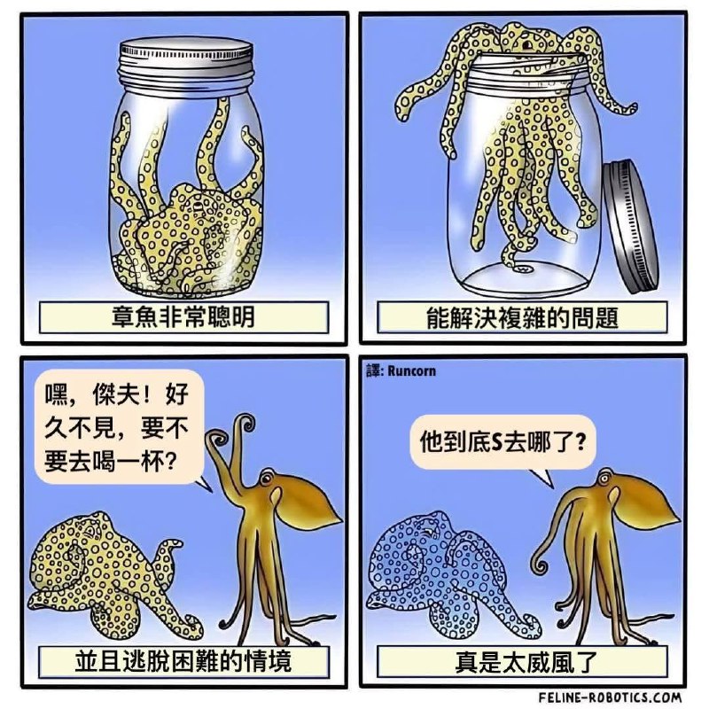 from 什麼都來點 via DECADE