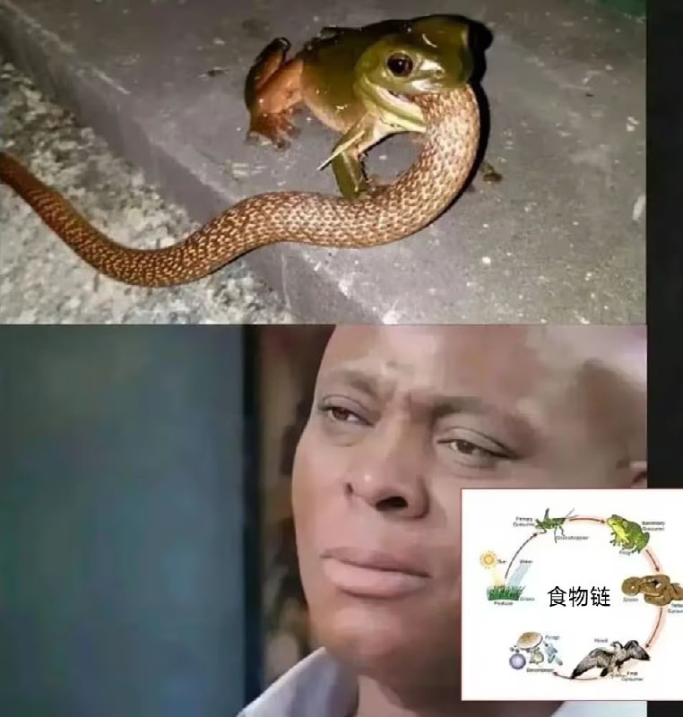 via 8号沙雕网友