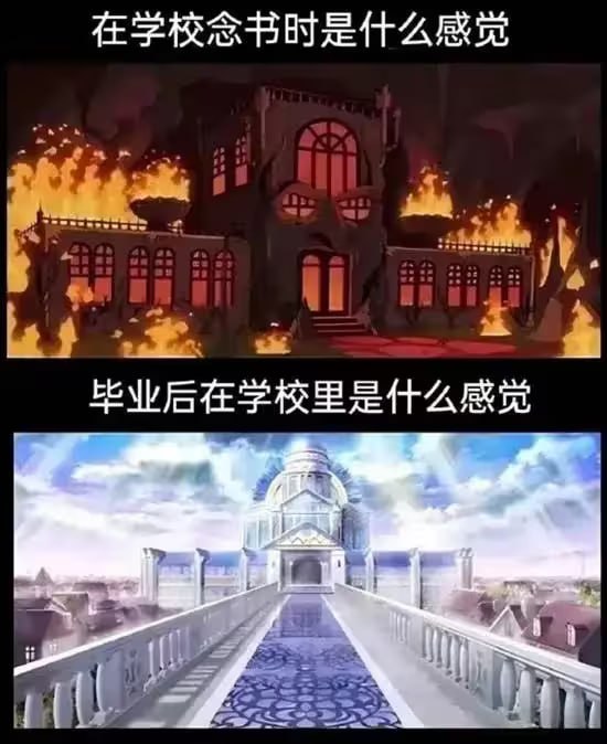 via 7号沙雕网友