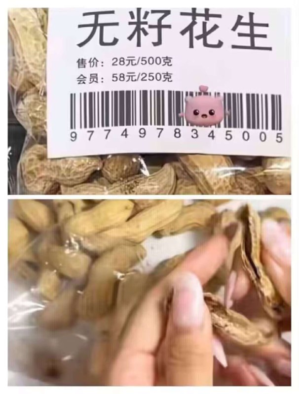 from 平壤卫视