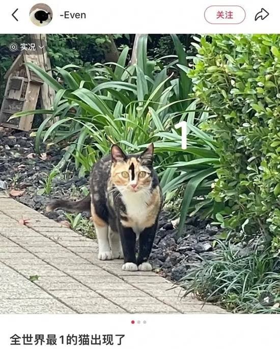 via 7号沙雕网友