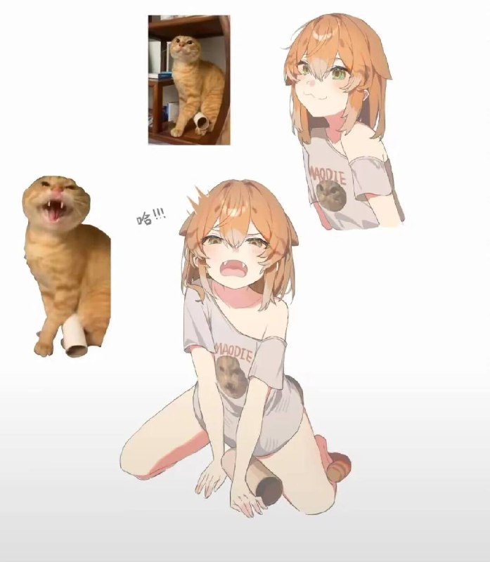 via 犯罪嫌疑人张某