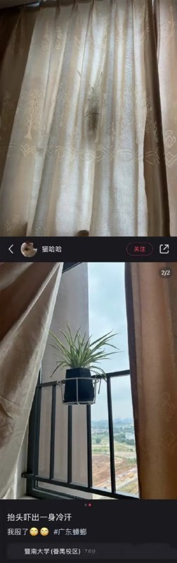 via 7号沙雕网友