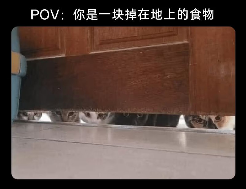 via 6号沙雕网友
