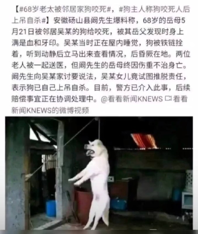 via 咪咪嘟