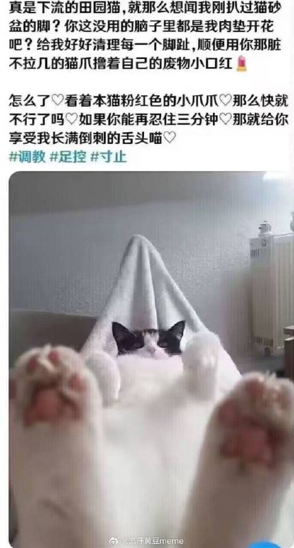 via 7号沙雕网友