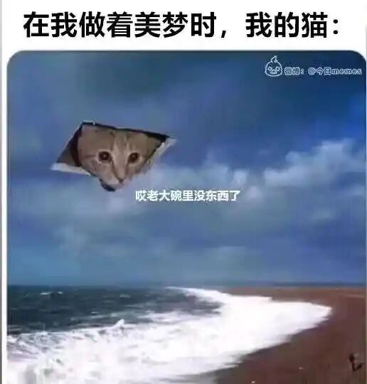 via 若葉from 🔮 奇闻异录 与 沙雕时刻 meme collection