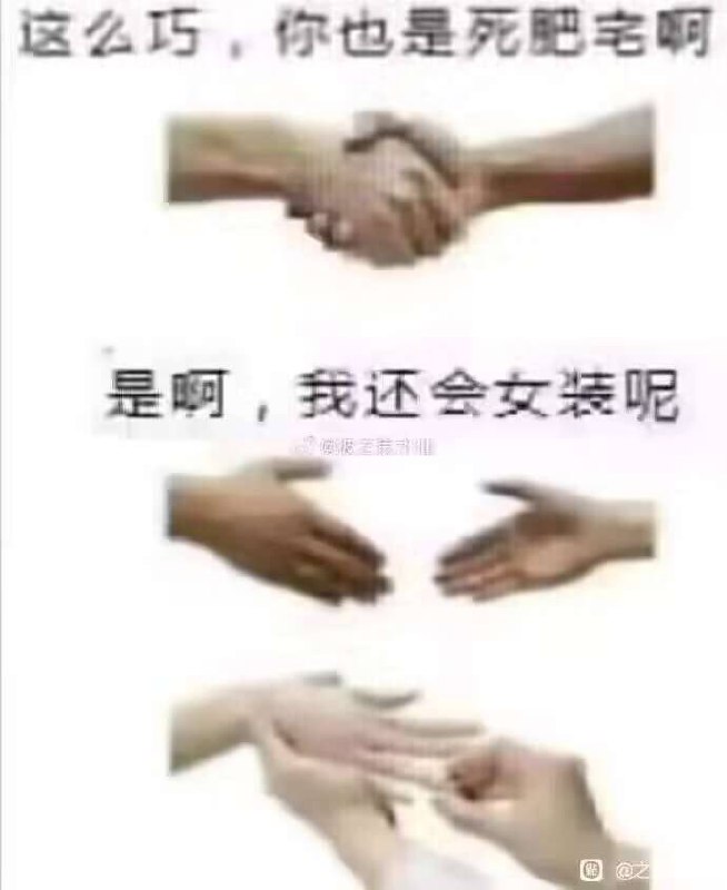 via Sakura 桜