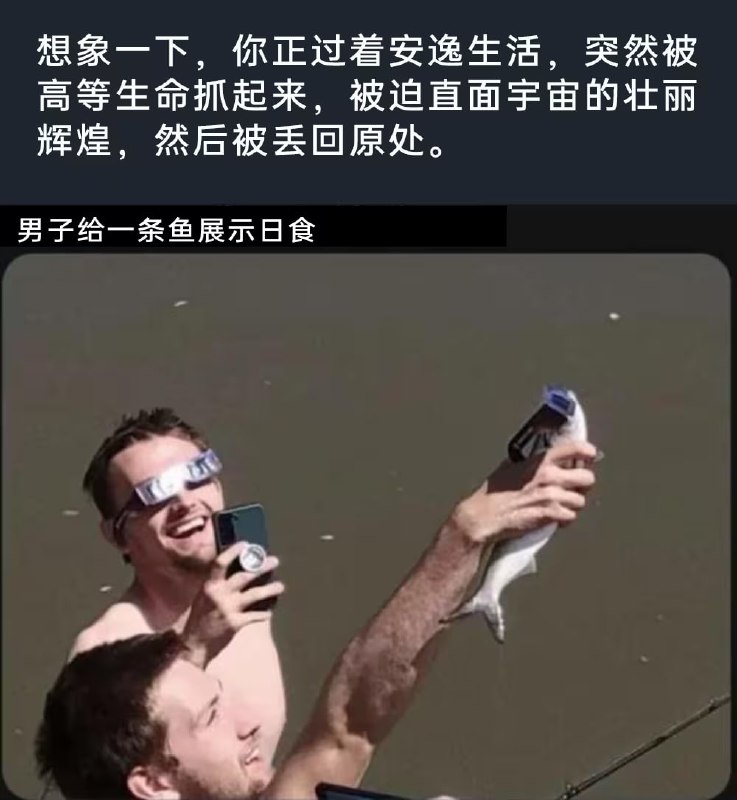 via 7号沙雕网友