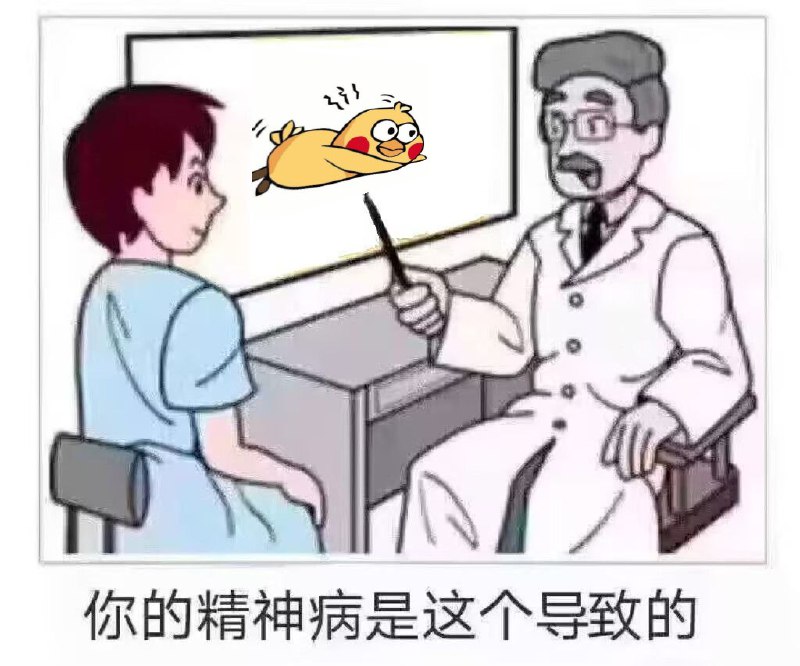 审核注