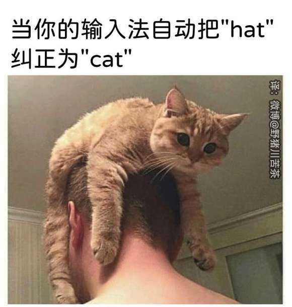 from TG空间🐈