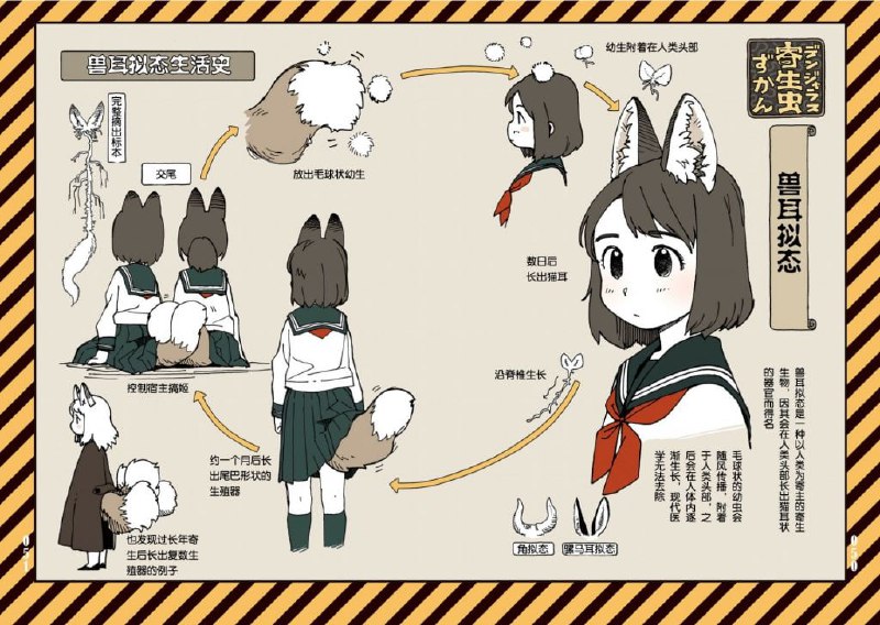 from 猫猫窝🐱