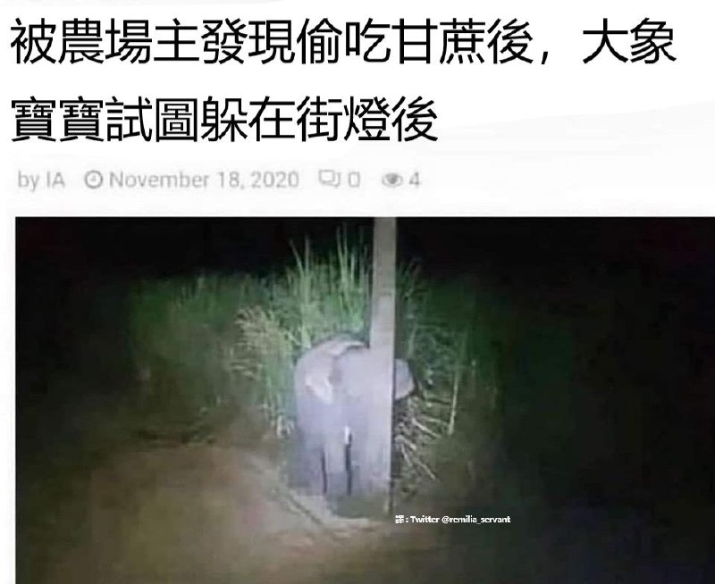 from 亚克力山大
