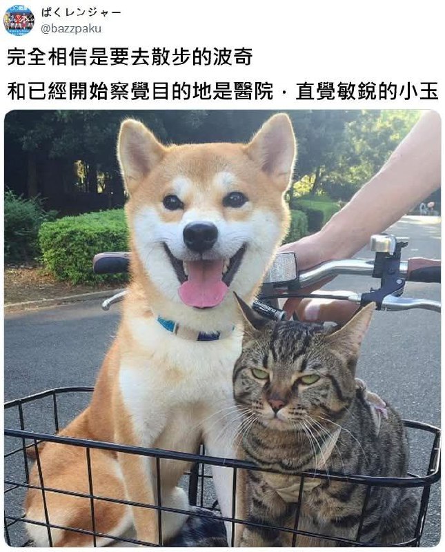 from 什麼都來點 via DECADE