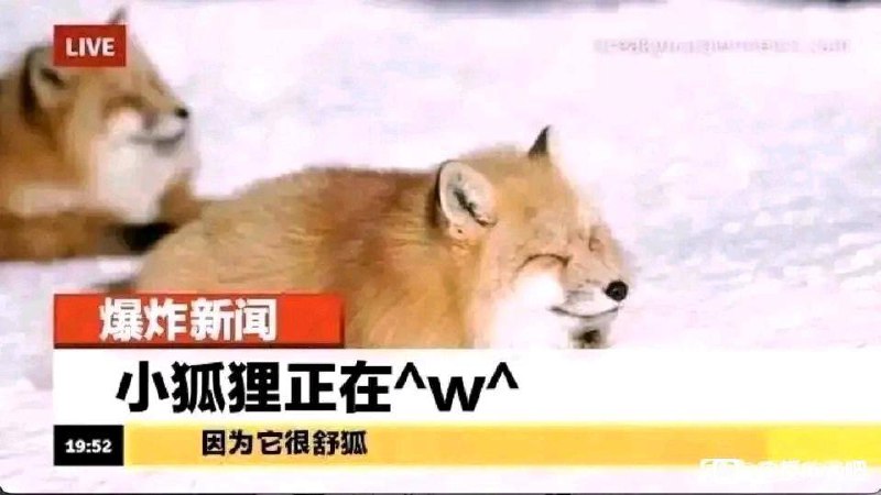 via 烟 暮