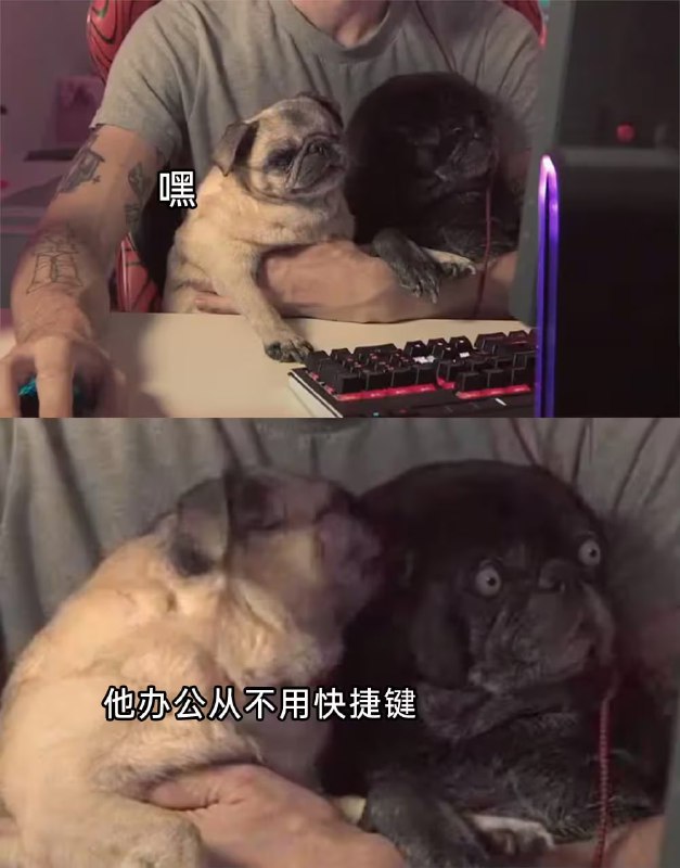 via 6号沙雕网友