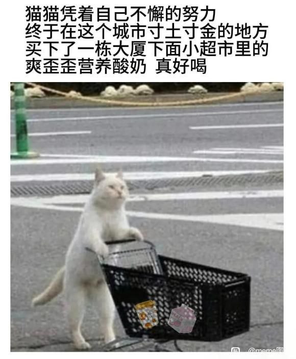 via my nbkls