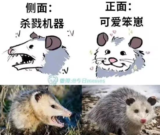 via 7号沙雕网友