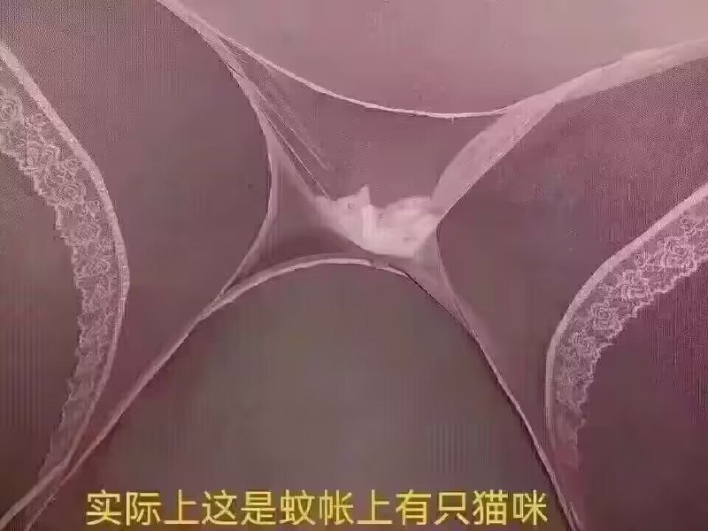 from 煎蛋无聊图
