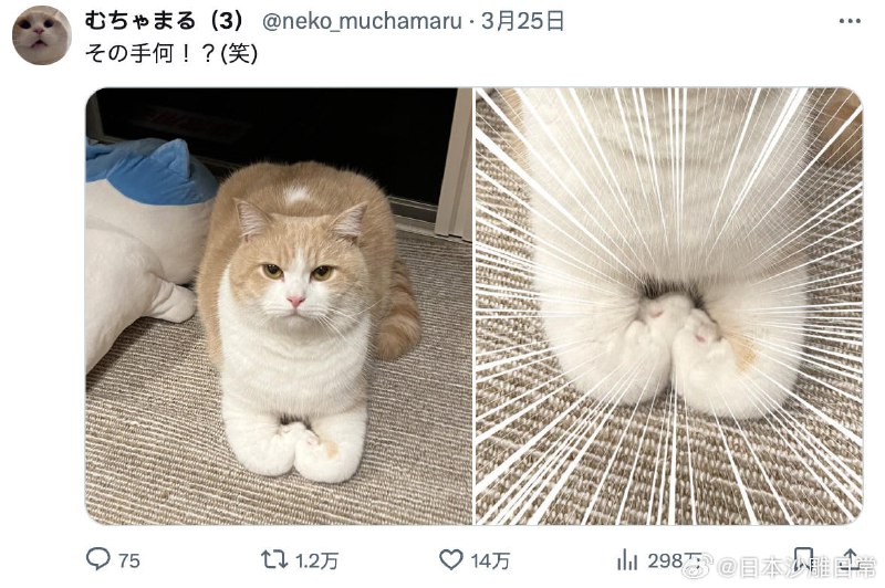这是什么新姿势！？这是什么新姿势！？