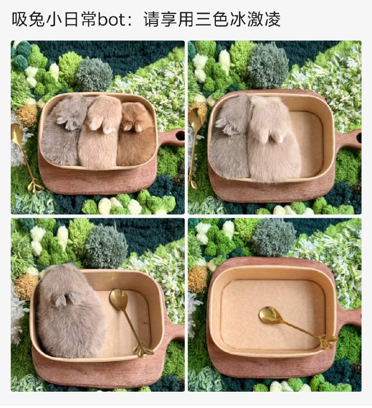 from 猫猫窝🐈🐈‍⬛