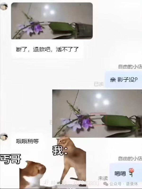 via 梓川咲太🅥