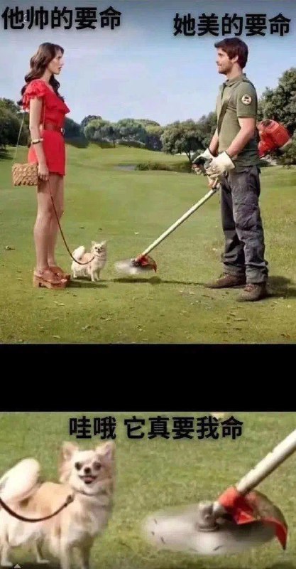 🤣👍