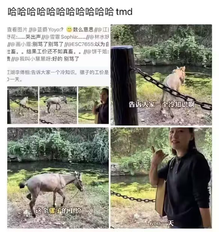 via 6号沙雕网友