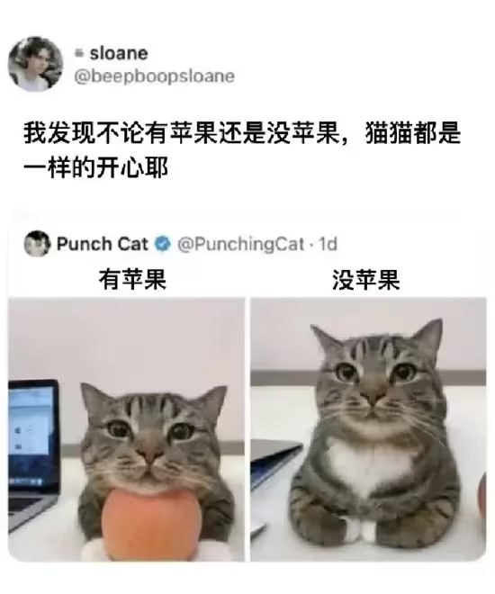 via 6号沙雕网友