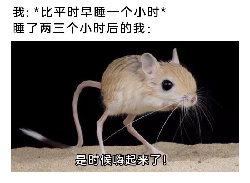 via 6号沙雕网友