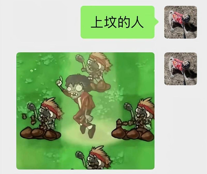 艹from 平壤卫视艹from 平壤卫视