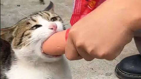 from 犯罪嫌疑人张某 via 犯罪嫌疑人张某from 犯罪嫌疑人张某 via 犯罪嫌疑人张某