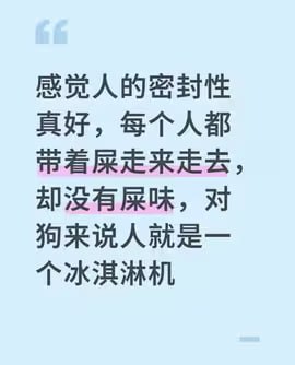 from 受伤的大灰狼 via Eric