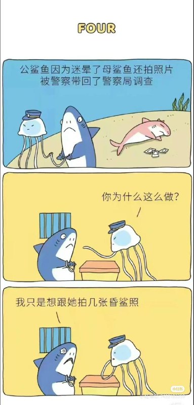 ？？？拍婚纱照也犯法？？？