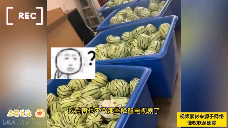 😅from 平壤卫视😅from 平壤卫视