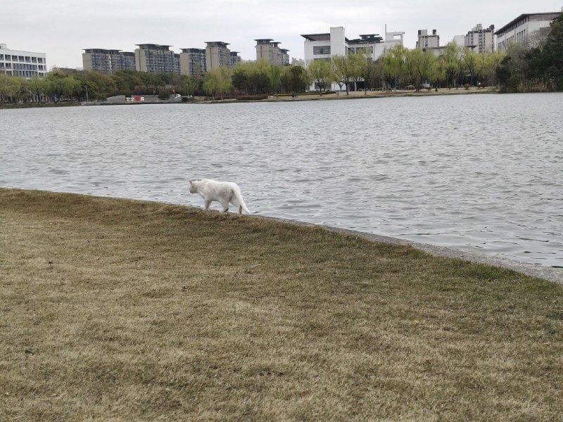 via 时月via 时月