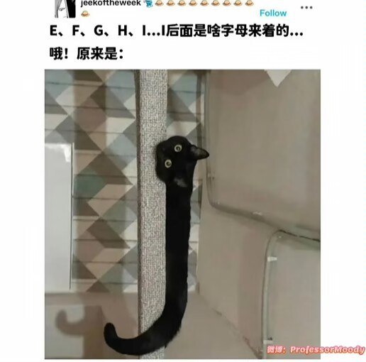 via 6号沙雕网友