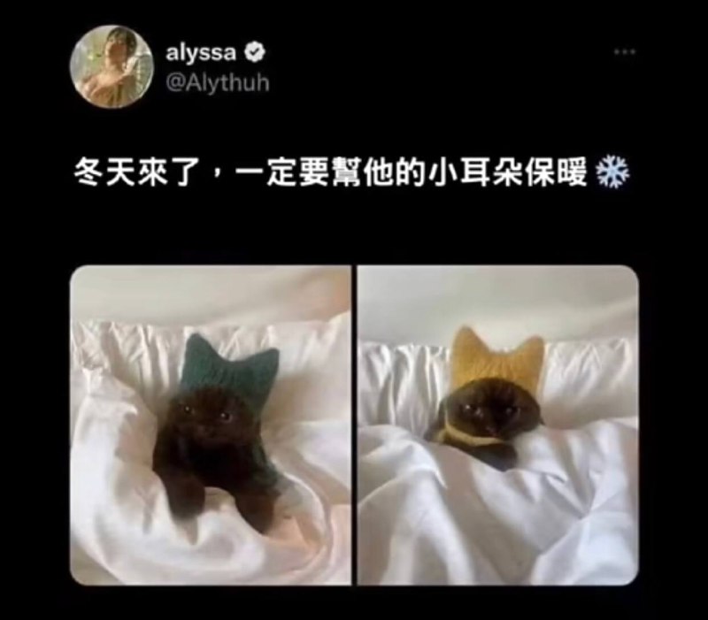 via 犯罪嫌疑人张某