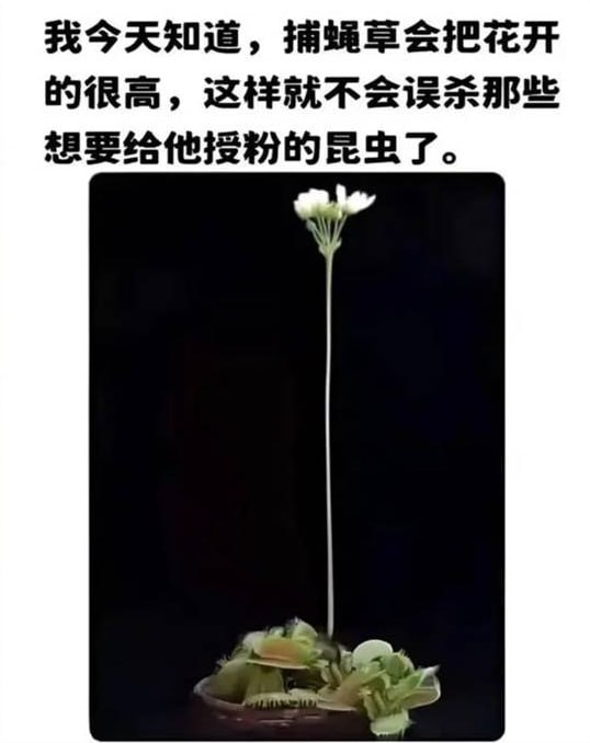 via 7号沙雕网友